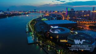 The Shanghai W