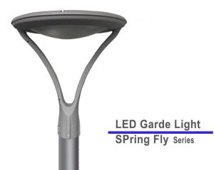 Spring Fly