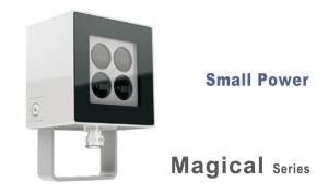 Magical Real  